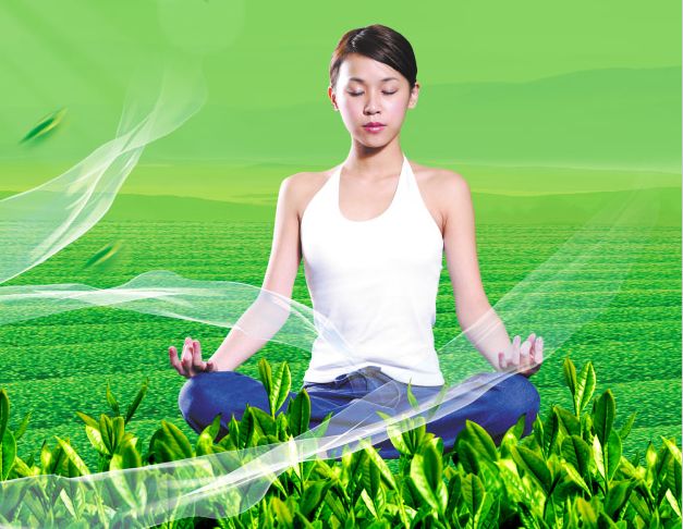 怎么做武术裁判证